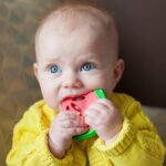 دندانگیر (لثه گیر) دکتر براونز Dr Browns مدل coolees